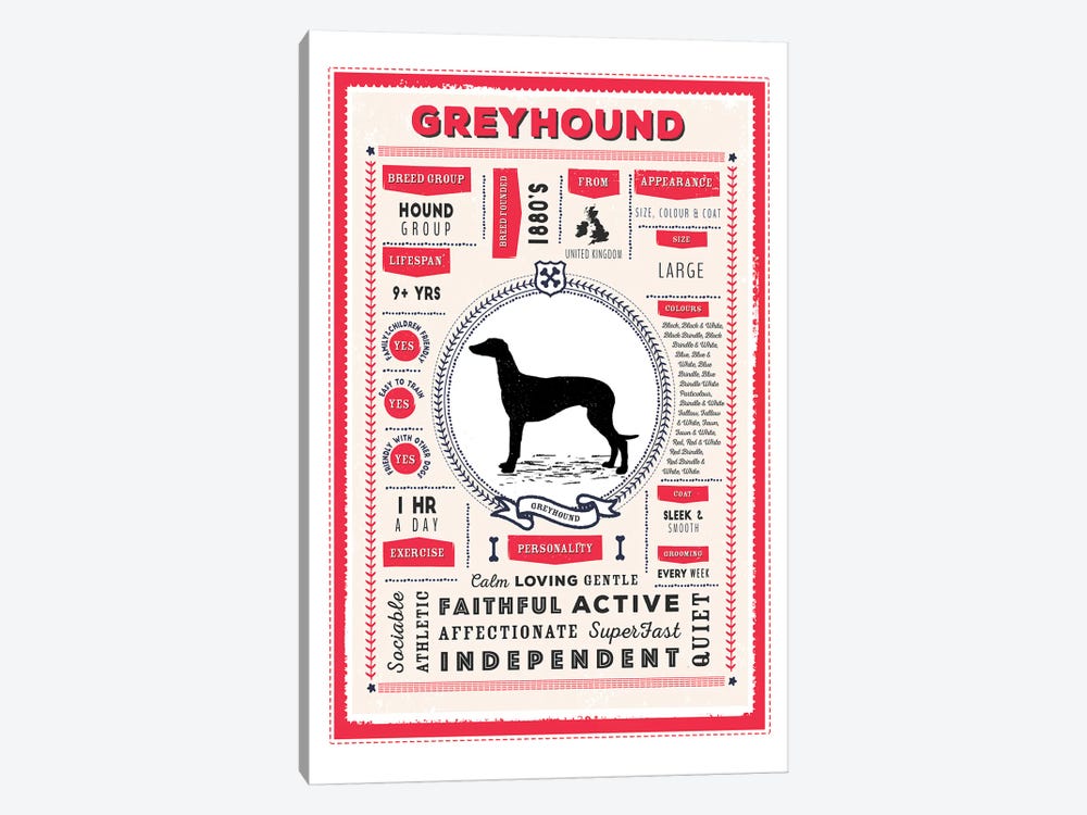 Greyhound Infographic Red by PaperPaintPixels 1-piece Canvas Print
