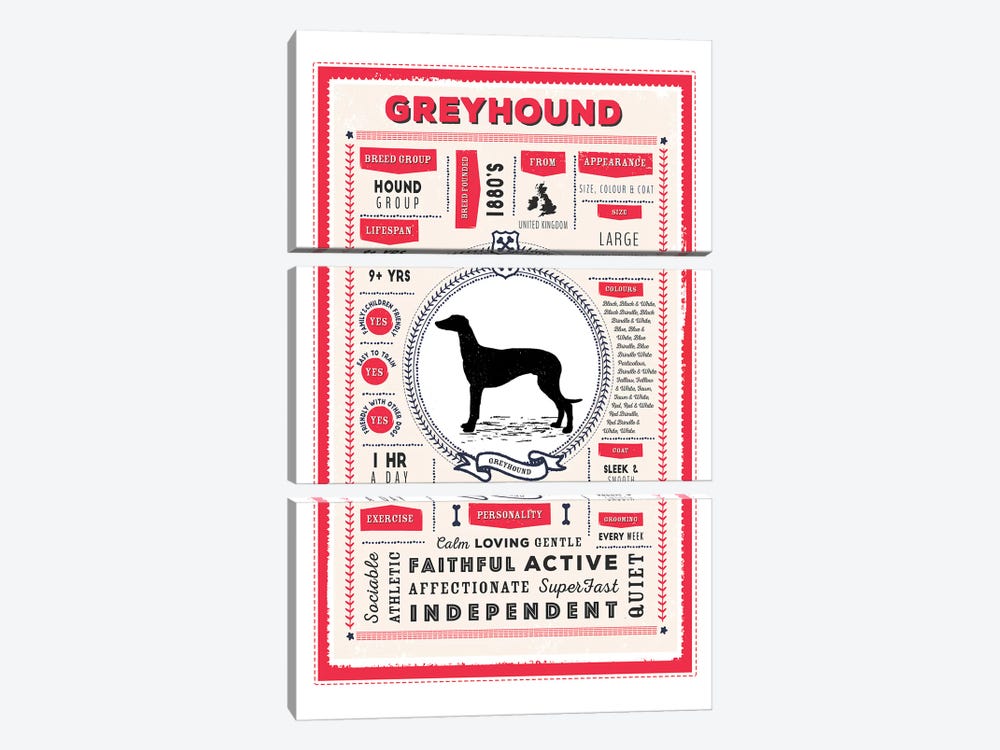 Greyhound Infographic Red by PaperPaintPixels 3-piece Canvas Print