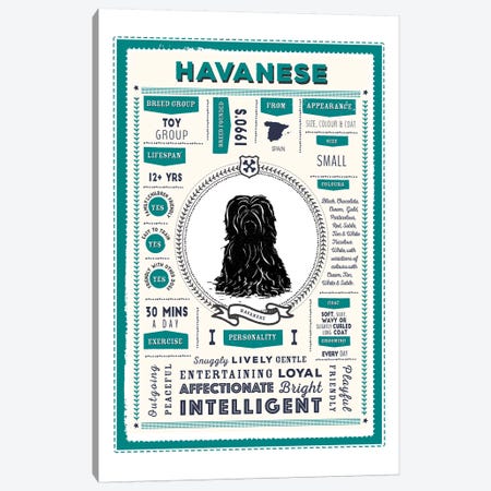Havanese Infographic Blue Canvas Print #PPX231} by PaperPaintPixels Art Print