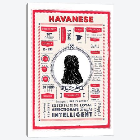 Havanese Infographic Red Canvas Print #PPX232} by PaperPaintPixels Canvas Print