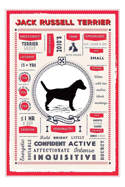 Jack Russel - Smooth Coated Infographic Red