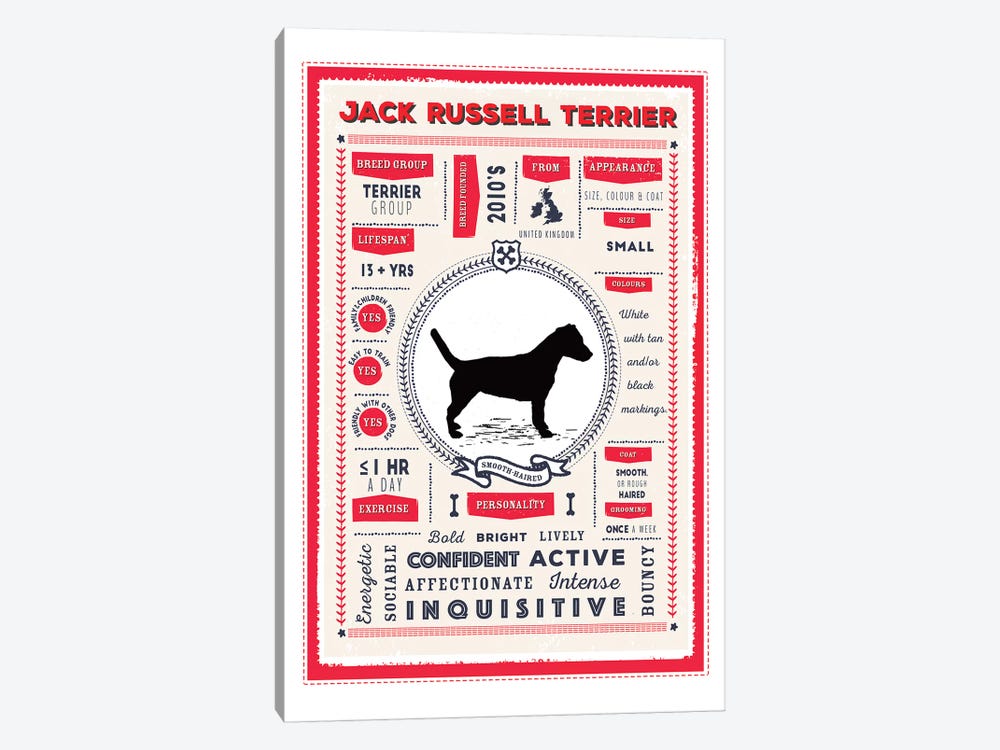 Jack Russel - Smooth Coated Infographic Red by PaperPaintPixels 1-piece Canvas Wall Art