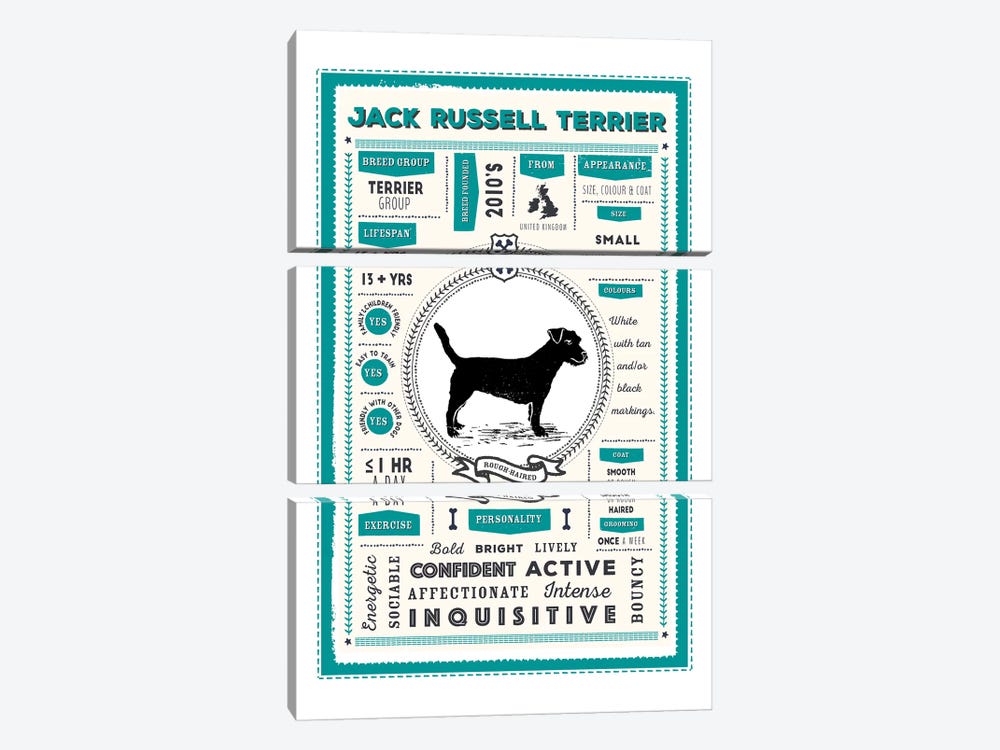 Jack Russell - Rough Haired Infographic Blue by PaperPaintPixels 3-piece Canvas Art Print