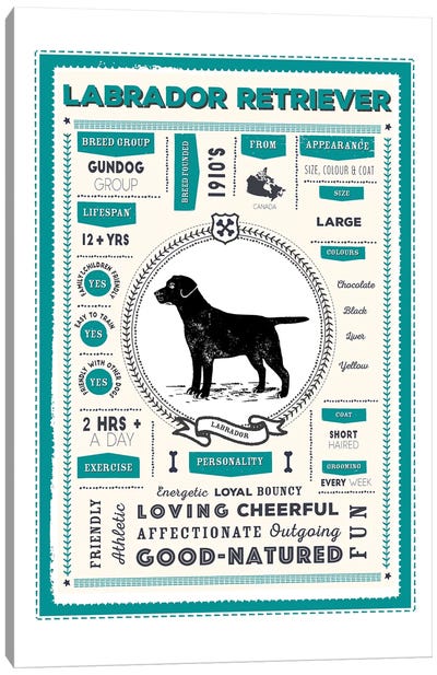 Labrador Retriever Infographic Blue Canvas Art Print - PaperPaintPixels