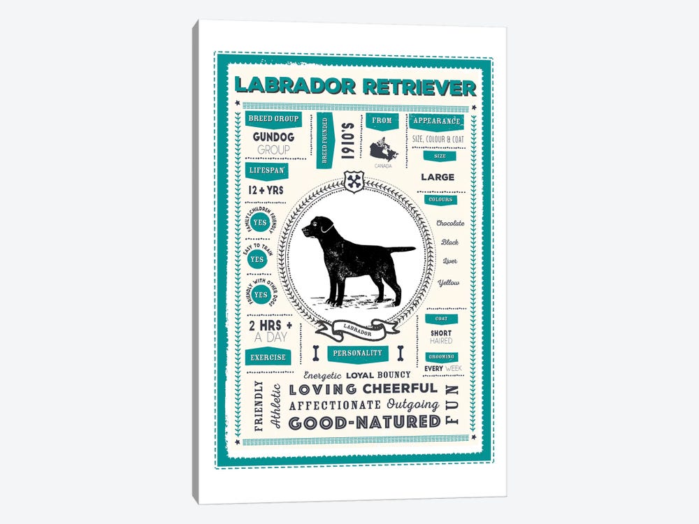 Labrador Retriever Infographic Blue by PaperPaintPixels 1-piece Canvas Artwork