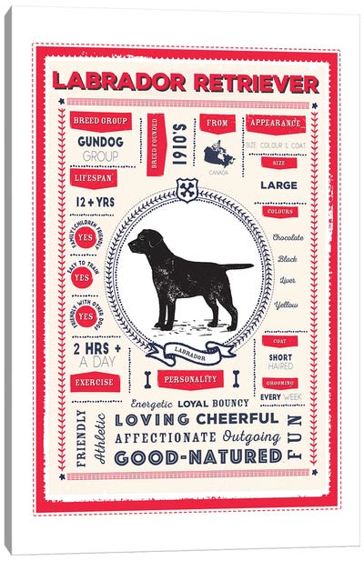 Labrador Retriever Infographic Red Canvas Art Print - PaperPaintPixels