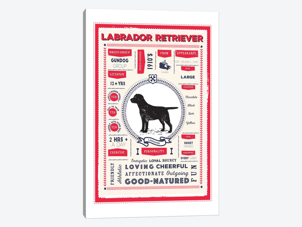 Labrador Retriever Infographic Red by PaperPaintPixels 1-piece Canvas Print