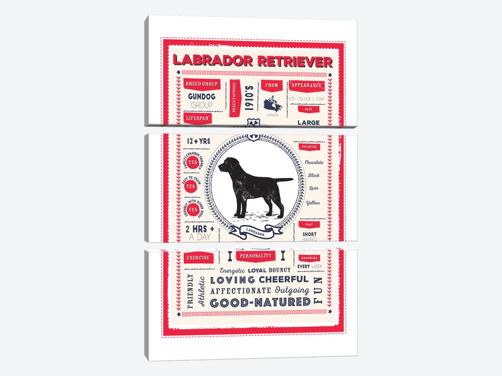 Labrador Retriever Infographic Red by PaperPaintPixels 3-piece Art Print