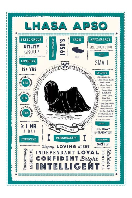 Lhasa Apso Infographic Blue by PaperPaintPixels wall art