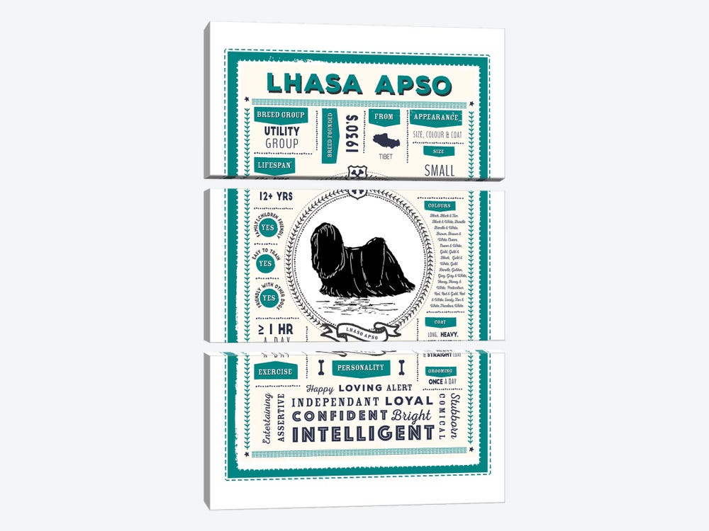 Lhasa Apso Infographic Blue by PaperPaintPixels 3-piece Canvas Artwork