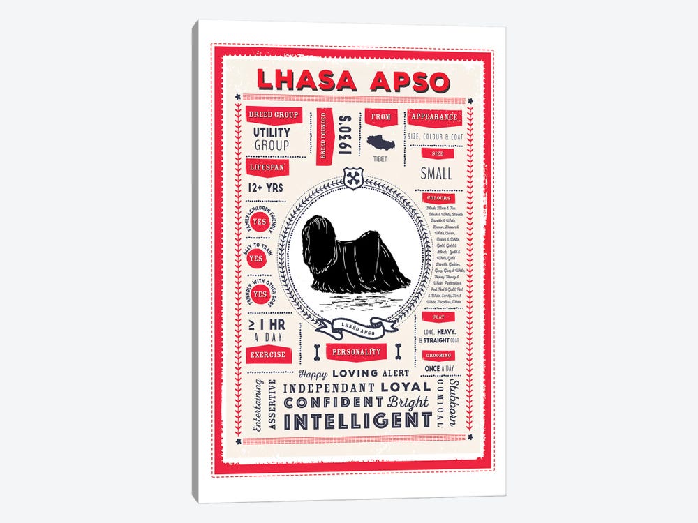 Lhasa Apso Infographic Red by PaperPaintPixels 1-piece Canvas Print