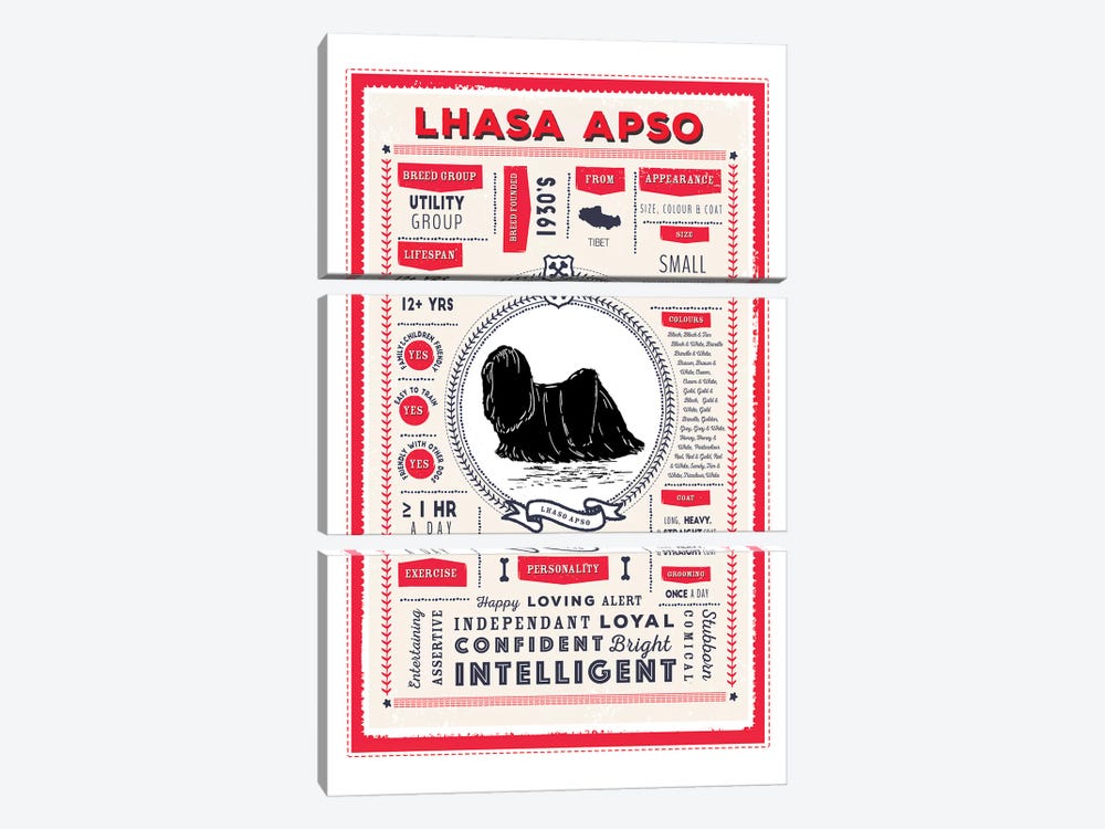 Lhasa Apso Infographic Red by PaperPaintPixels 3-piece Canvas Art Print