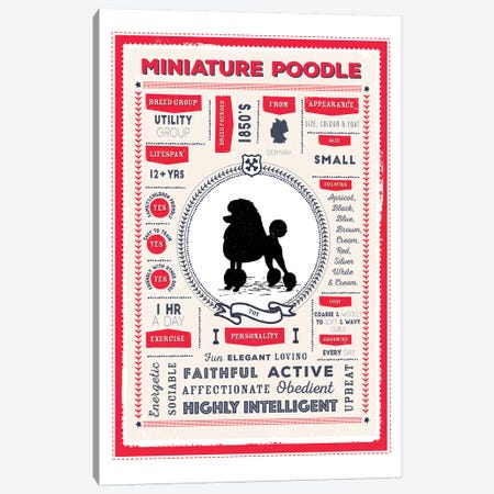 Miniature Poodle Infographic Red Canvas Print #PPX240} by PaperPaintPixels Canvas Wall Art
