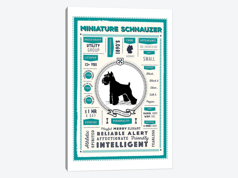 Miniature Schnauzer Infographic Blue by PaperPaintPixels 1-piece Canvas Print