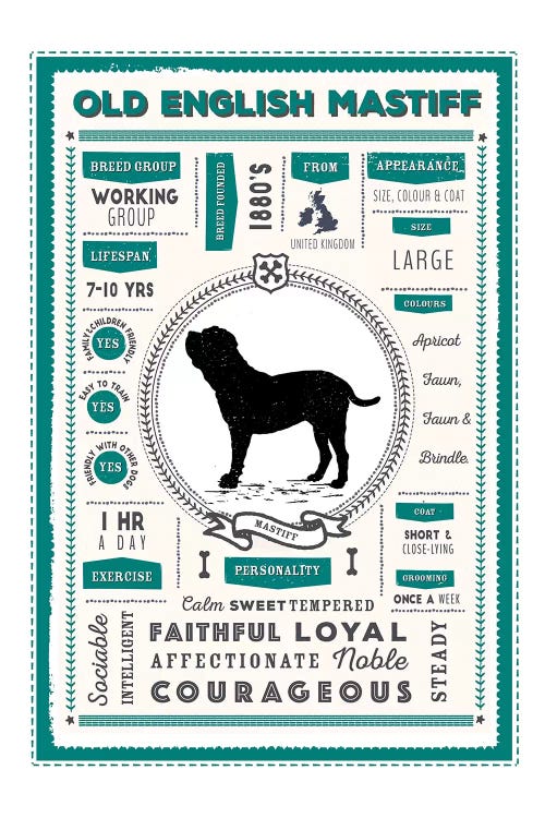 Old English Mastiff Infographic Blue by PaperPaintPixels wall art