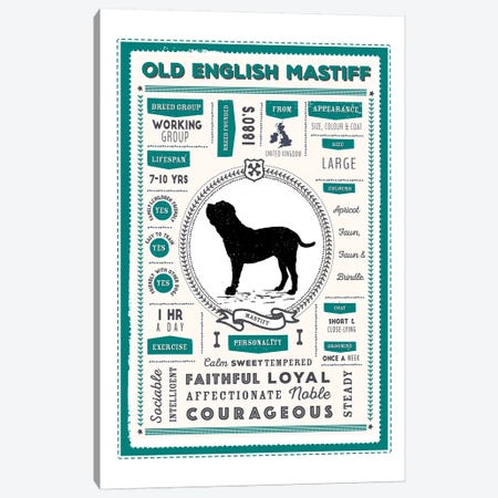 Old English Mastiff Infographic Blue Canvas Print #PPX242} by PaperPaintPixels Canvas Wall Art