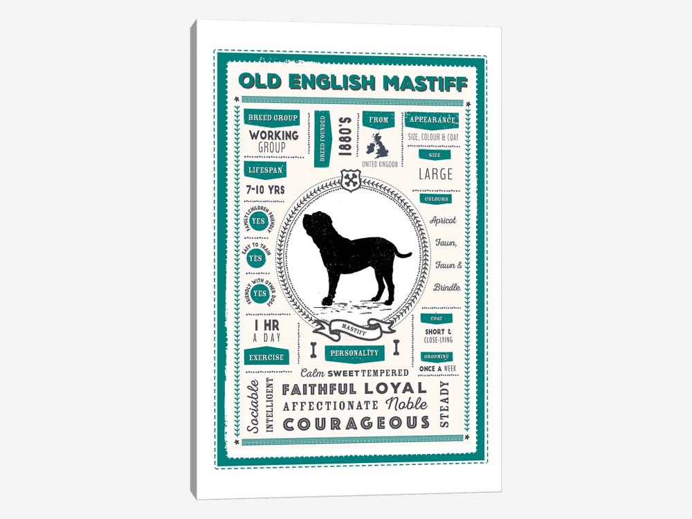 Old English Mastiff Infographic Blue by PaperPaintPixels 1-piece Canvas Art