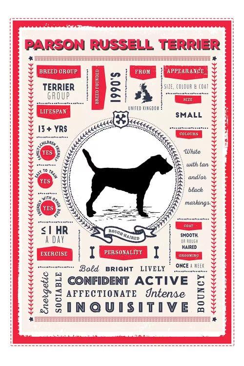 Parson Russell Terrier Infographic Red