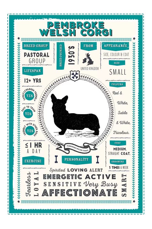Pembroke Welsh Corgi Infographic Blue by PaperPaintPixels wall art