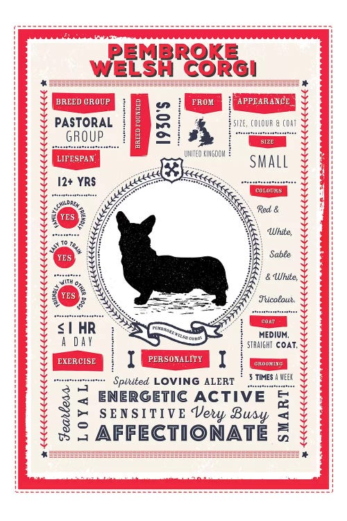 Pembroke Welsh Corgi Infographic Red