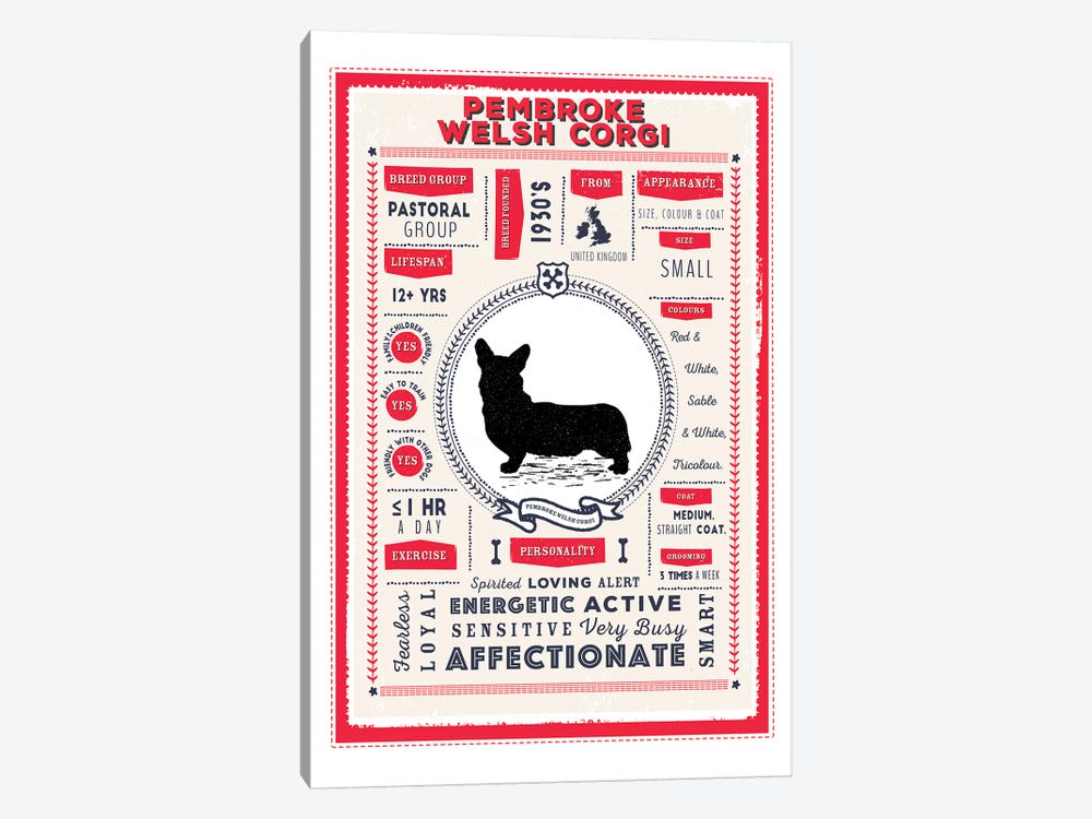 Pembroke Welsh Corgi Infographic Red by PaperPaintPixels 1-piece Art Print