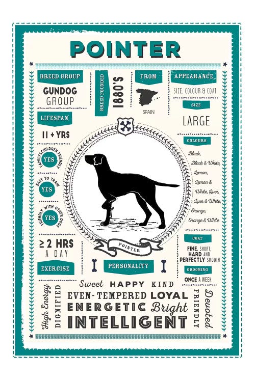 Pointer Infographic Blue