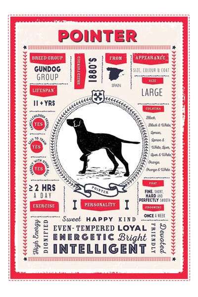 Pointer Infographic Red by PaperPaintPixels canvas print