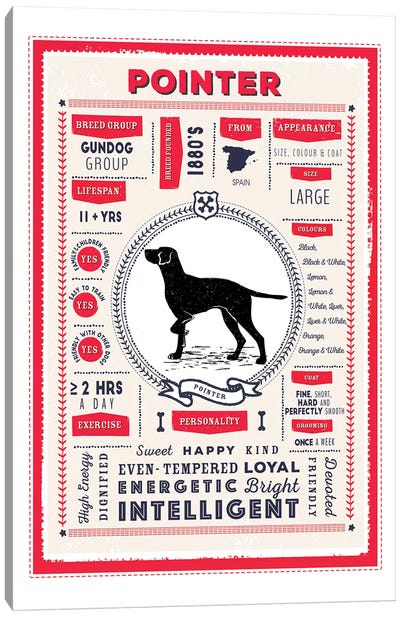 Pointer Infographic Red Canvas Art Print - Pointers & Setters
