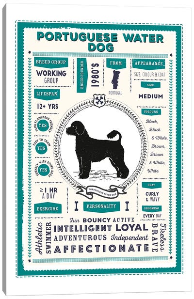 Portuguese Water Dog Infographic Blue Canvas Art Print - Portuguese Water Dog