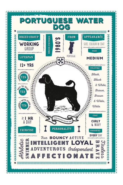 Portuguese Water Dog Infographic Blue by PaperPaintPixels wall art
