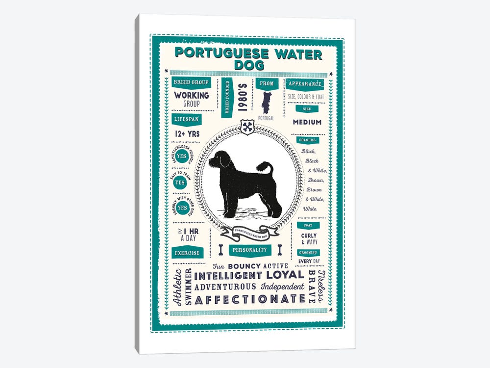 Portuguese Water Dog Infographic Blue by PaperPaintPixels 1-piece Canvas Art