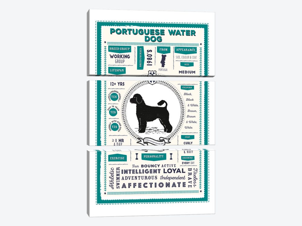 Portuguese Water Dog Infographic Blue by PaperPaintPixels 3-piece Canvas Artwork