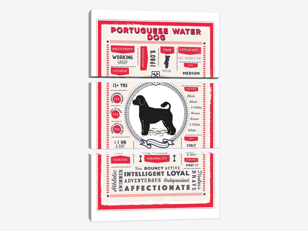 Portuguese Water Dog Infographic Red by PaperPaintPixels 3-piece Art Print