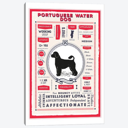 Portuguese Water Dog Infographic Red Canvas Print #PPX249} by PaperPaintPixels Canvas Art