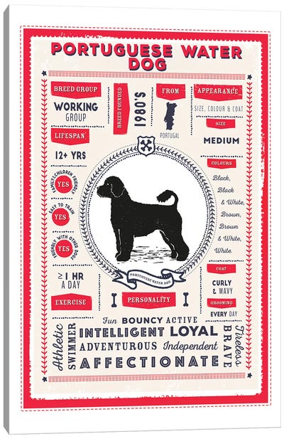 Portuguese Water Dog Infographic Red Canvas Art Print - PaperPaintPixels