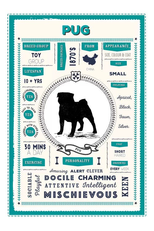 Pug Infographic Blue by PaperPaintPixels wall art