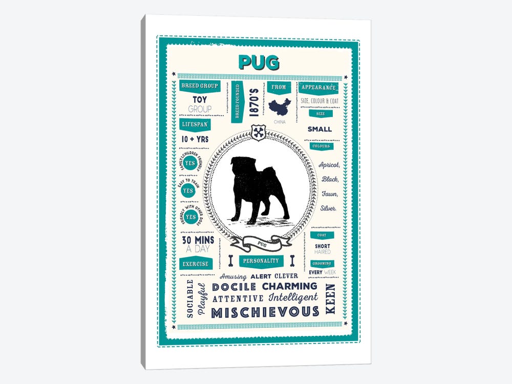 Pug Infographic Blue by PaperPaintPixels 1-piece Art Print