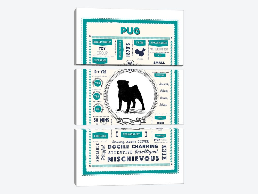 Pug Infographic Blue by PaperPaintPixels 3-piece Art Print