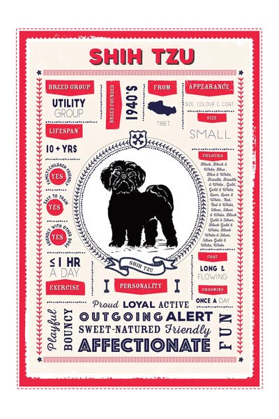 Shih Tzu Infographic Red by PaperPaintPixels canvas print