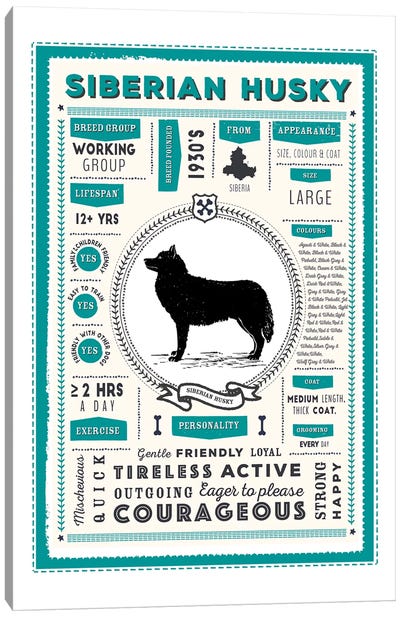 Siberian Husky Infographic Blue Canvas Art Print - PaperPaintPixels