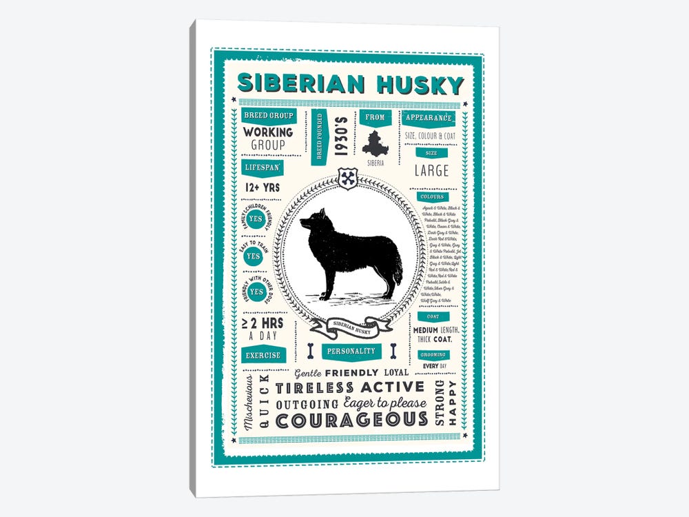 Siberian Husky Infographic Blue by PaperPaintPixels 1-piece Canvas Print