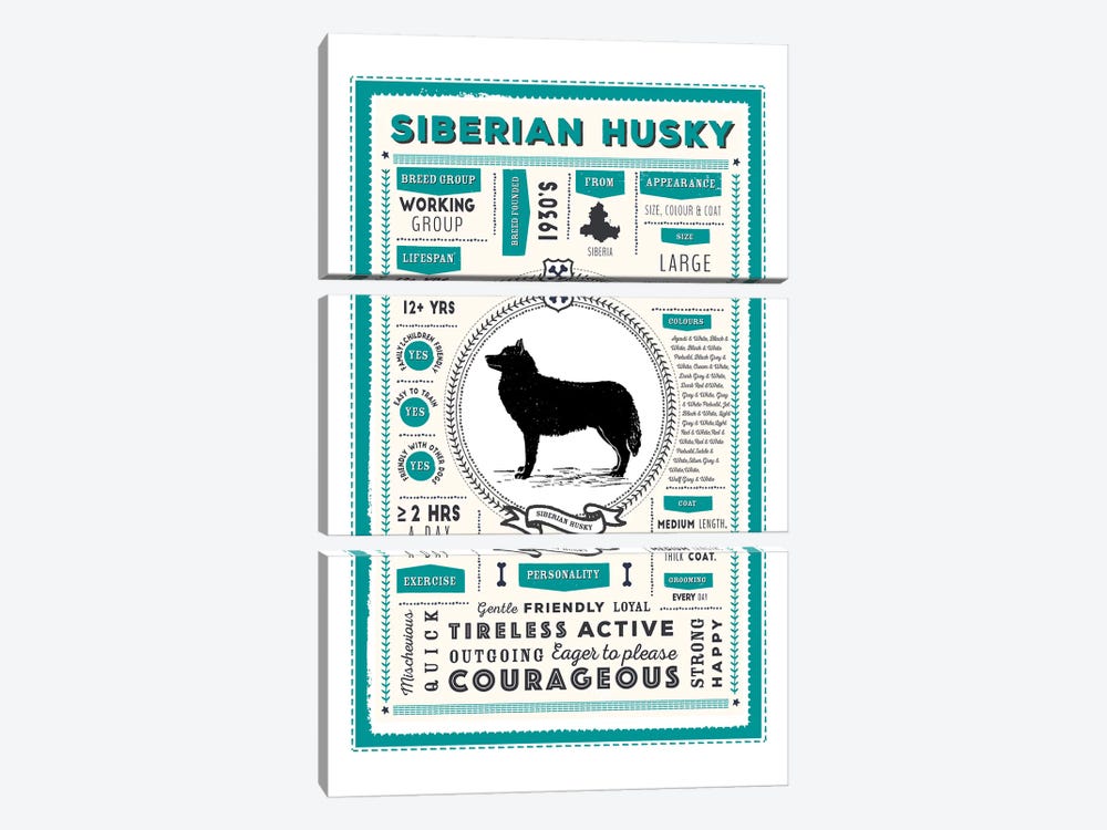 Siberian Husky Infographic Blue by PaperPaintPixels 3-piece Canvas Art Print