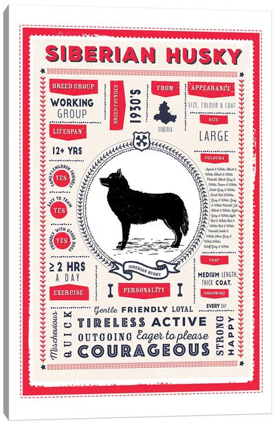 Siberian Husky Infographic Red Canvas Art Print - PaperPaintPixels