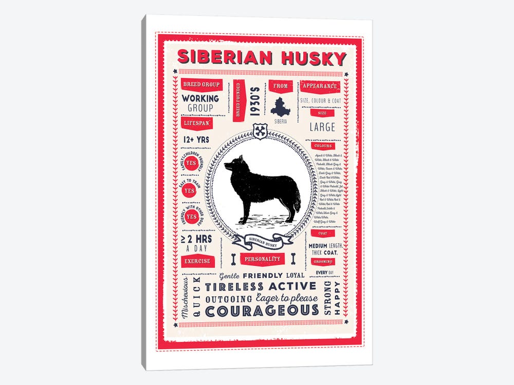 Siberian Husky Infographic Red by PaperPaintPixels 1-piece Canvas Wall Art