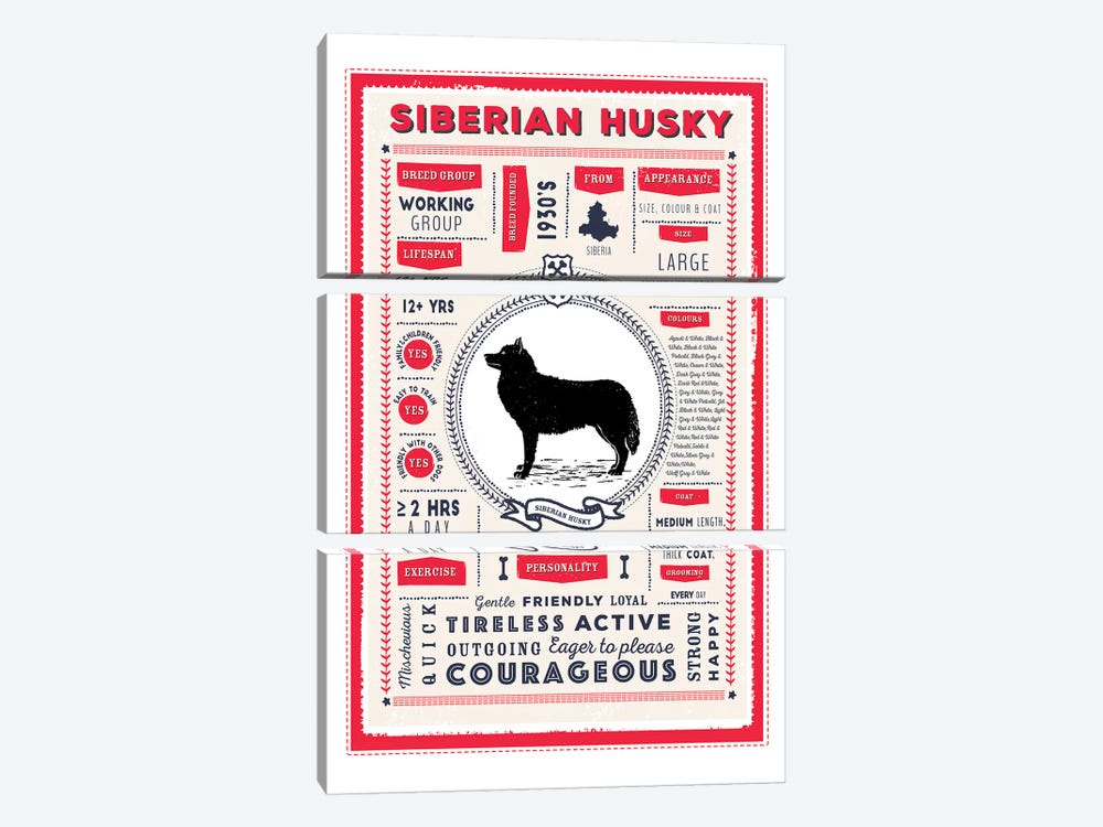 Siberian Husky Infographic Red by PaperPaintPixels 3-piece Canvas Wall Art