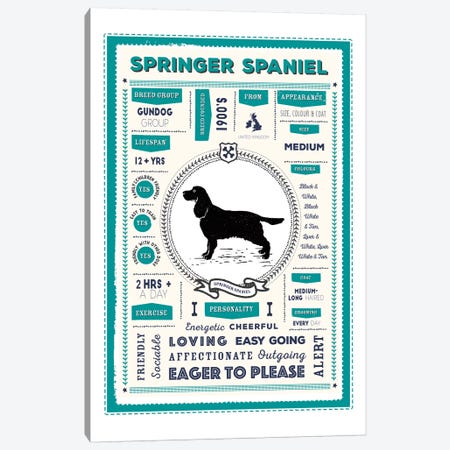 Springer Spaniel Infographic Blue Canvas Print #PPX256} by PaperPaintPixels Canvas Art