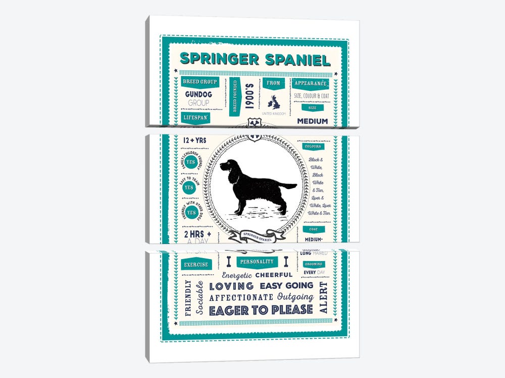 Springer Spaniel Infographic Blue by PaperPaintPixels 3-piece Canvas Print