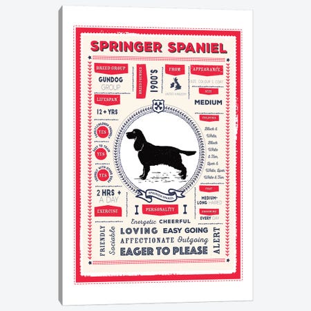 Springer Spaniel Infographic Red Canvas Print #PPX257} by PaperPaintPixels Canvas Artwork