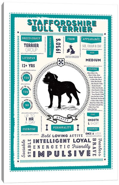 Staffordshire Bull Terrier Infographic Blue Canvas Art Print - Pit Bull Art