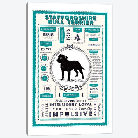 Staffordshire Bull Terrier Infographic Blue Canvas Print #PPX258} by PaperPaintPixels Canvas Art Print